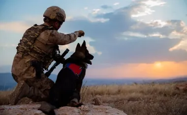 Nowa rola żołnierzy WOT w firmach. Co przynosi nowa ulga podatkowa?