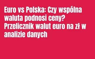 Obraz do artykułu: Euro vs Polska: Czy wspólna waluta podnosi ceny? Przelicznik walut euro na zł w analizie danych