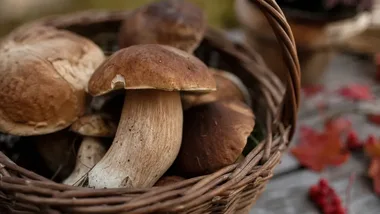 Warzyńska jesień w Domu Pomocy Społecznej. Królowały grzyby