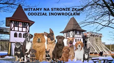 Grafika promocyjna wydarzenia XXXVIII Krajowa Wystawa Psów Rasowych w Inowrocławiu — przegląd i informacje