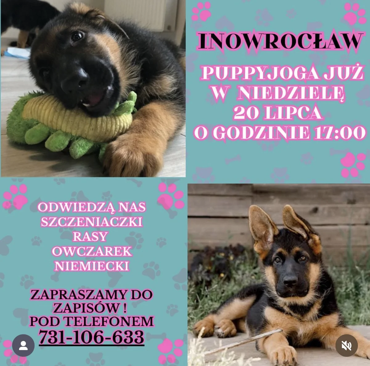 Grafika promocyjna wydarzenia Zajęcia z jogi w towarzystwie szczeniąt w Inowrocławiu