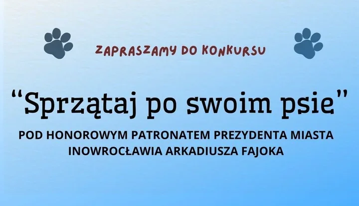 Miasto przypomina o obowiązku sprzątania po psach – ruszyła akcja i konkurs