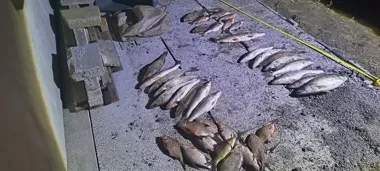 Nocny połów skończył się zatrzymaniem na Jeziorze Pakoskim