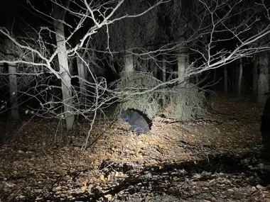 Nocny patrol znalazł w lesie owczarka - policja i OSP uratowały psa